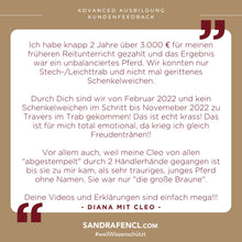 Laden Sie das Bild in den Galerie-Viewer, ⭐ADVANCED 3.0 - SILBER-Edition 2025/2026 🐎