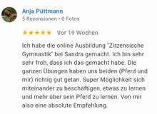 Laden Sie das Bild in den Galerie-Viewer, 🐎✨ Online-Ausbildung in zirzensischer Gymnastik - Silber-Geschenk-EDITION 🎁✨
