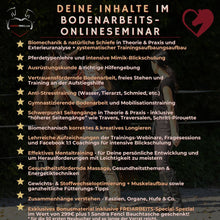 Laden Sie das Bild in den Galerie-Viewer, 🐎 Gesundheitsförderndes Bodenarbeits-Onlineseminar 🎁 SILBER-Geschenk-Edition ✨
