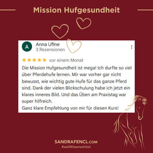 🐎 Mission-Hufgesundheit Hybrid-Intensiv-Seminar inkl. Skoolzugang 6 Monate  💪🏼
