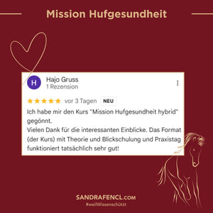 🐎 Mission-Hufgesundheit Hybrid-Intensiv-Seminar inkl. Skoolzugang 6 Monate  💪🏼