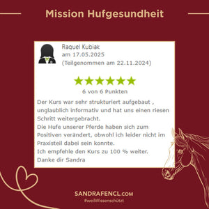 🐎 Mission-Hufgesundheit Hybrid-Intensiv-Seminar inkl. Skoolzugang 6 Monate  💪🏼