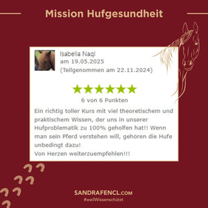 🐎 Mission-Hufgesundheit Hybrid-Intensiv-Seminar inkl. Skoolzugang 6 Monate  💪🏼