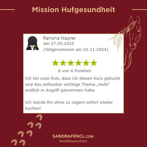 🐎 Mission-Hufgesundheit Hybrid-Intensiv-Seminar inkl. Skoolzugang 6 Monate  💪🏼