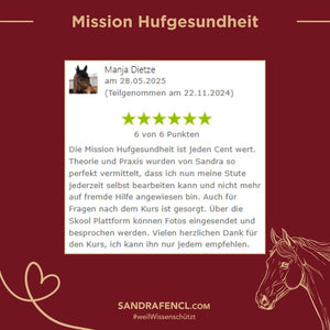 🐎 Mission-Hufgesundheit Hybrid-Intensiv-Seminar inkl. Skoolzugang 6 Monate  💪🏼