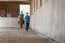 Laden Sie das Bild in den Galerie-Viewer, 🐎🥳 TAGESTICKET Zuseherplatz LIVE-Pferdetrainings-Intensivtage 2026 🐴✨
