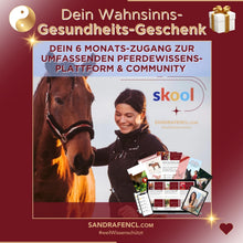 Laden Sie das Bild in den Galerie-Viewer, 🐎🎉💖 Doppel-Bundle: Ganzheitliches Bodenarbeits-Intensiv-Onlineseminar &amp; 6 Monate Skool-Gesundheit  ☯🎁 SILBER-Coaching-Edition ✨
