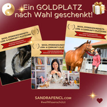 Laden Sie das Bild in den Galerie-Viewer, 🐎🎉💖 Doppel-Bundle: Ganzheitliches Bodenarbeits-Intensiv-Onlineseminar &amp; 6 Monate Skool-Gesundheit  ☯🎁 SILBER-Coaching-Edition ✨
