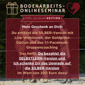 🐎 Gesundheitsförderndes Bodenarbeits-Onlineseminar 🎁 SILBER-Geschenk-Edition ✨