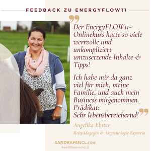 ✨ EnergyFLOW11 2024 Onlineseminar 😍💪 - mehr Energie - mehr Leben!