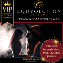 Laden Sie das Bild in den Galerie-Viewer, 🐎 ✨ EQUVOLUTION ACADEMY Training Masterclass: VIP-Edition
