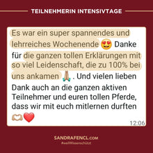 Laden Sie das Bild in den Galerie-Viewer, 🐎🥳 TAGESTICKET Zuseherplatz LIVE-Pferdetrainings-Intensivtage 2026 🐴✨
