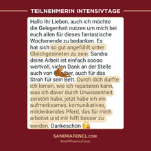 Laden Sie das Bild in den Galerie-Viewer, 🐎🥳 TAGESTICKET Zuseherplatz LIVE-Pferdetrainings-Intensivtage 2026 🐴✨
