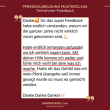 Laden Sie das Bild in den Galerie-Viewer, 🐎👑 Pferdeausbildung MASTERCLASS -  VIP-AUFZEICHNUNGSPAKET inkl. Schiefen-Workbook
