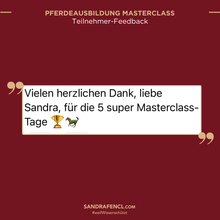 Laden Sie das Bild in den Galerie-Viewer, 🐎👑 Pferdeausbildung MASTERCLASS -  VIP-AUFZEICHNUNGSPAKET inkl. Schiefen-Workbook
