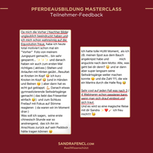 Laden Sie das Bild in den Galerie-Viewer, 🐎👑 Pferdeausbildung MASTERCLASS -  VIP-AUFZEICHNUNGSPAKET inkl. Schiefen-Workbook
