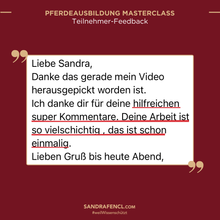 Laden Sie das Bild in den Galerie-Viewer, 🐎👑 Pferdeausbildung MASTERCLASS -  VIP-AUFZEICHNUNGSPAKET inkl. Schiefen-Workbook
