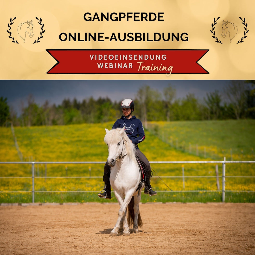Gangpferde Online-Ausbildung 2023: Webinar-Gold-Platz PFERDETRAININGS-Coaching GOLD