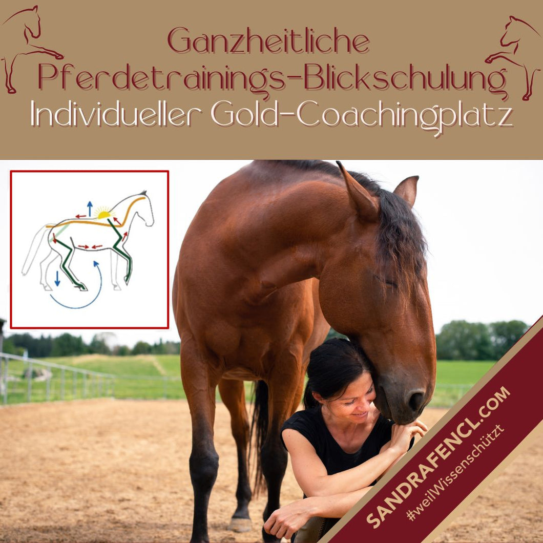 Ganzheitliche Pferdetrainings-Blickschulung: Gold-Platz für PFERDETRAININGS-Coaching