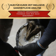Laden Sie das Bild in den Galerie-Viewer, 🥳🐎🎁 Intensiv-Special: Mission-Hufgesundheit Intensiv-Seminar
