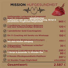 Laden Sie das Bild in den Galerie-Viewer, 🐎 Mission-Hufgesundheit Hybrid-Intensiv-Seminar inkl. Praxistag &amp; Skoolzugang 6 Monate  💪🏼
