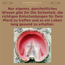 Laden Sie das Bild in den Galerie-Viewer, 🥳🐎🎁 Intensiv-Special: Mission-Hufgesundheit Intensiv-Seminar
