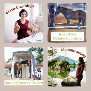 🐴😍 Onlineausbildung Kreatives Balancetraining, Pferde-Ergotherapie, sicheres Verladen & Freiarbeit: Special-Selbstlern-Edition