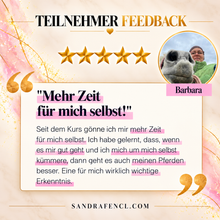 Laden Sie das Bild in den Galerie-Viewer, ✨ MEvolution VIP-Edition ✨
