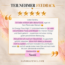 Laden Sie das Bild in den Galerie-Viewer, ✨ MEvolution VIP-Edition ✨
