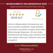 Laden Sie das Bild in den Galerie-Viewer, 🐎🎉💖 Doppel-Bundle: Ganzheitliches Bodenarbeits-Intensiv-Onlineseminar &amp; 6 Monate Skool-Gesundheit  ☯🎁 SILBER-Coaching-Edition ✨
