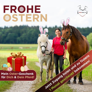 🐰🎁 Oster-Monat geschenkt: 🦄 Jahres-Zugang zur brandneuen Pferdegesundheits-Plattform & Community