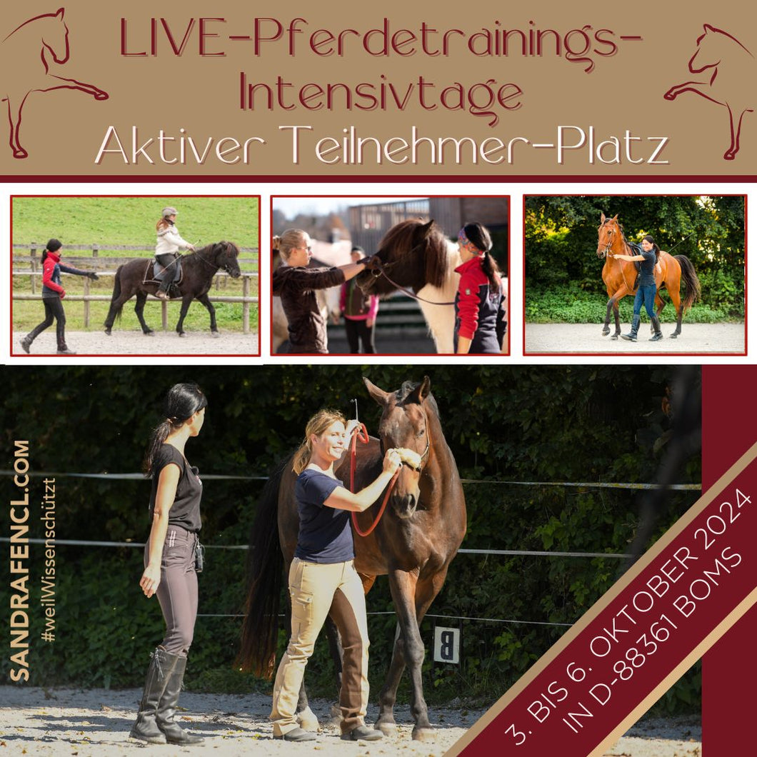 Aktiver Gold-Teilnahmeplatz LIVE-Pferdetrainings-Intensivtage 3.-6. Oktober 2024 plus Follow-Up-Coaching 🐴✨🚀