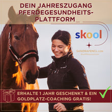 Laden Sie das Bild in den Galerie-Viewer, ⭐ADVANCED 3.0 - DELUXE-Edition 2025/2026 🐎
