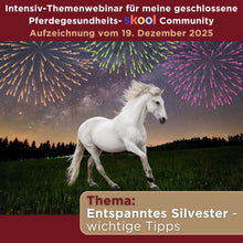 Laden Sie das Bild in den Galerie-Viewer, 🐎☯🥳 MEGA Doppel-Bundle: Skool-JAHRES-Zugang zur umfassenden Pferde-Plattform &amp; Community &amp; Online-Trainings-Intensivseminar Kreatives Balancetraining &amp; Verladen inkl. GOLD-Coachingplatz 🎁
