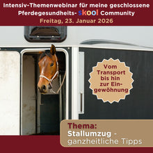Laden Sie das Bild in den Galerie-Viewer, 🐎☯🥳 MEGA Doppel-Bundle: Skool-JAHRES-Zugang zur umfassenden Pferde-Plattform &amp; Community &amp; Online-Trainings-Intensivseminar Kreatives Balancetraining &amp; Verladen inkl. GOLD-Coachingplatz 🎁

