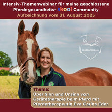Laden Sie das Bild in den Galerie-Viewer, 🐎☯🥳 MEGA Doppel-Bundle: Skool-JAHRES-Zugang zur umfassenden Pferde-Plattform &amp; Community &amp; Online-Trainings-Intensivseminar Kreatives Balancetraining &amp; Verladen inkl. GOLD-Coachingplatz 🎁
