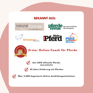 Online-Ausbildung in zirzensischer Gymnastik  2024 - SILBER-GESCHENK-EDITION 🎁✨