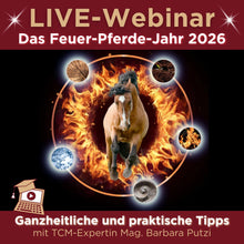 Laden Sie das Bild in den Galerie-Viewer, 🐎🎉💖 Doppel-Bundle: Ganzheitliches Bodenarbeits-Intensiv-Onlineseminar &amp; 6 Monate Skool-Gesundheit  ☯🎁 SILBER-Coaching-Edition ✨

