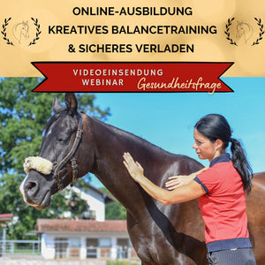 Kreatives Balancetraining & sicheres Verladen: Webinar-Gold-Platz GESUNDHEITSFRAGEN-Coaching