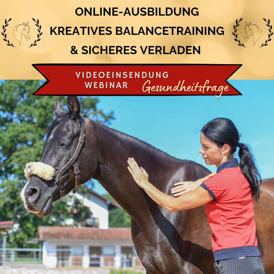 Kreatives Balancetraining & sicheres Verladen: Webinar-Gold-Platz GESUNDHEITSFRAGEN-Coaching