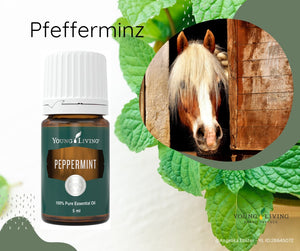 Young Living "Pfefferminze" ätherische Ölmischung 15ml