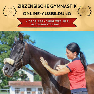 Online-Ausbildung in zirzensischer Gymnastik & vertrauensfördernder Bodenarbeit: Webinar-Gold-Platz GESUNDHEITS-Coaching GOLD