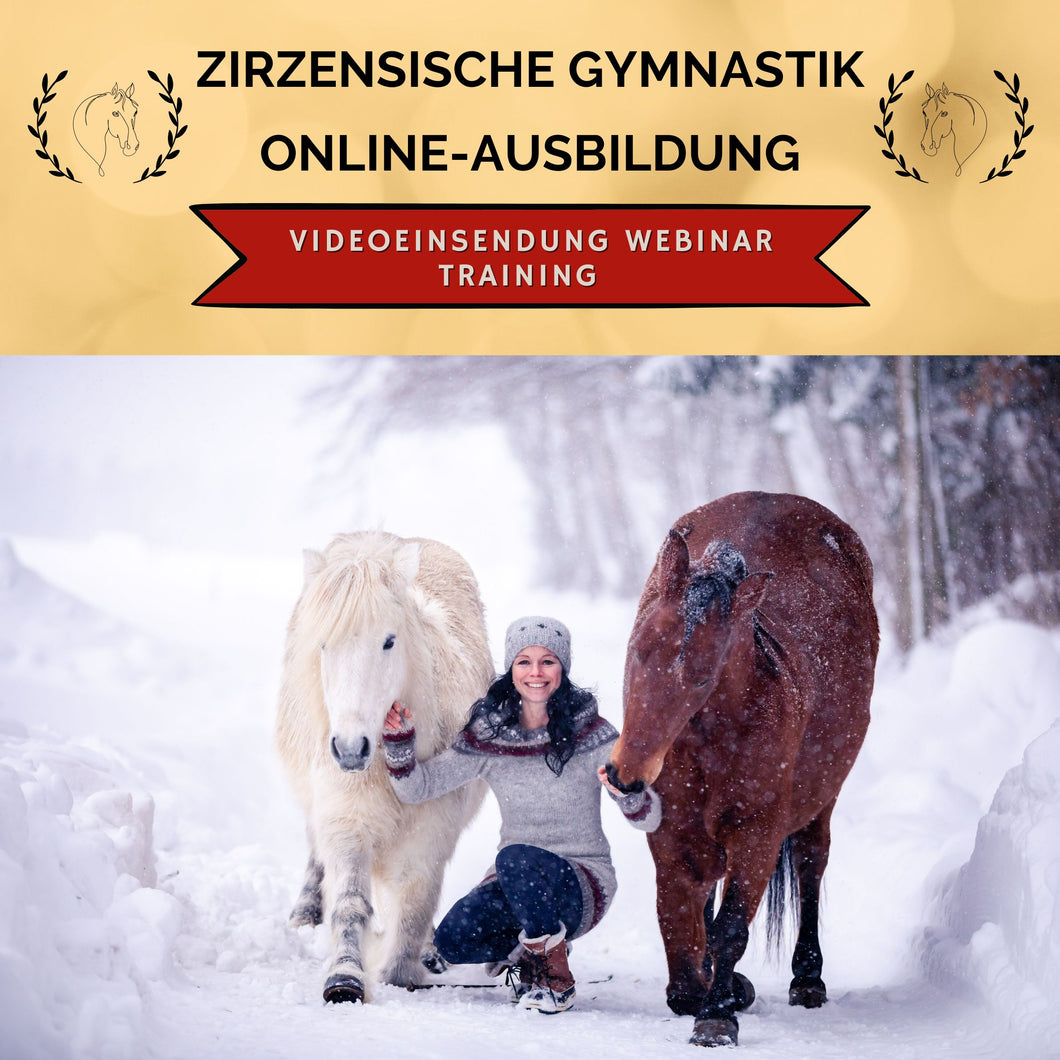 Online-Ausbildung in zirzensischer Gymnastik & vertrauensfördernder Bodenarbeit: Webinar-Gold-Platz PFERDETRAININGS-Coaching GOLD