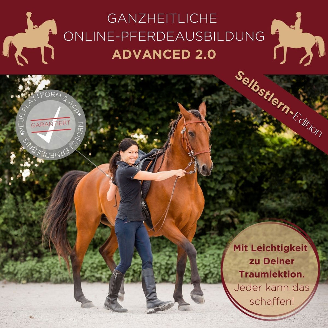 ADVANCED 2.0 - Selbstlern-Edition 2023-2024