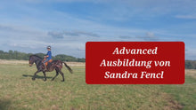 Laden und Abspielen von Videos im Galerie-Viewer, ⭐ADVANCED 3.0 - Treue-Edition 2025/2026 🐎

