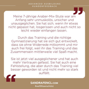 ⭐ADVANCED 3.0 - Treue-Edition 2025/2026 🐎