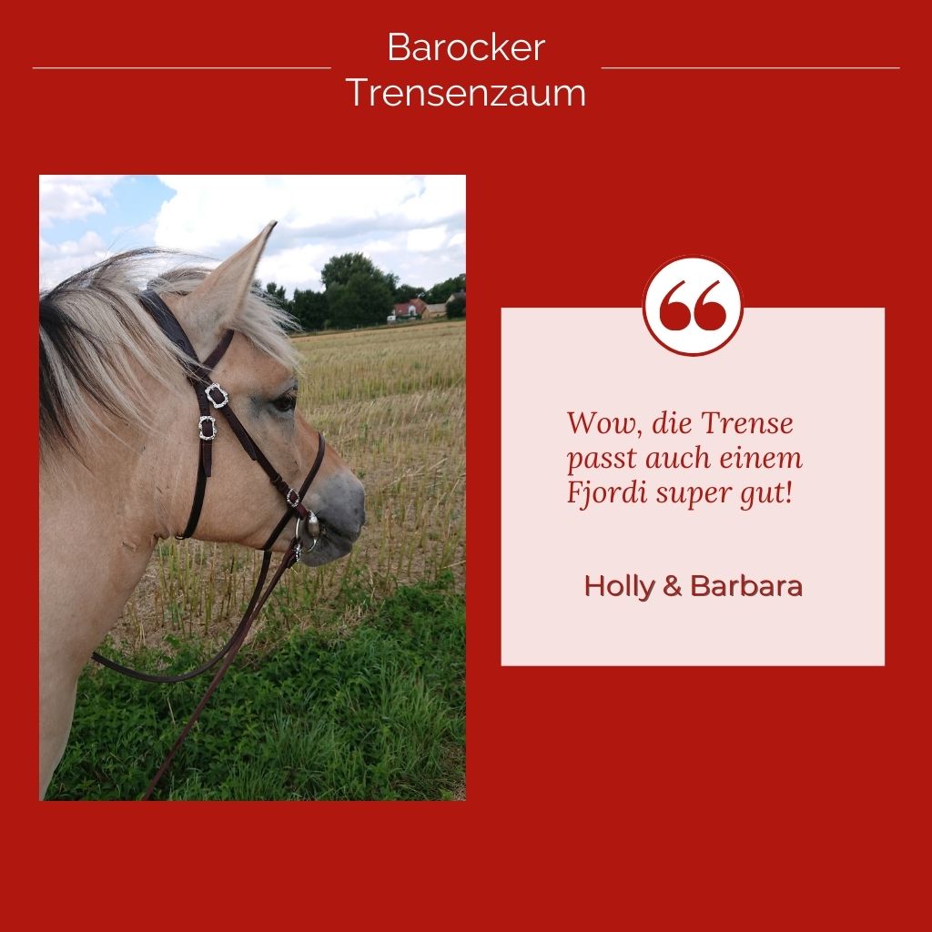 🐎 Lager-Abverkauf: Barocker Trensenzaum mit einem Paar Zügel – Sandra Fencl