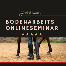 Laden Sie das Bild in den Galerie-Viewer, Gesundheitsförderndes Bodenarbeits-Onlineseminar: JUBILÄUMS-Edition - Dein ganzheitliches Videoseminar
