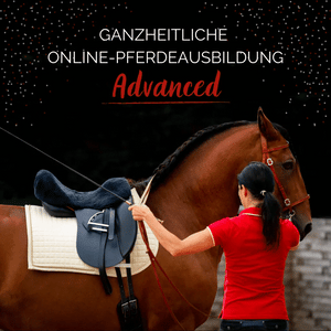 ⭐ADVANCED 3.0 - Treue-Edition 2025/2026 🐎