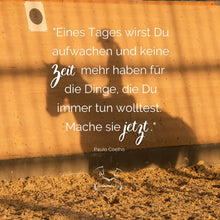 Laden Sie das Bild in den Galerie-Viewer, ⭐ADVANCED 3.0 - Treue-Edition 2025/2026 🐎
